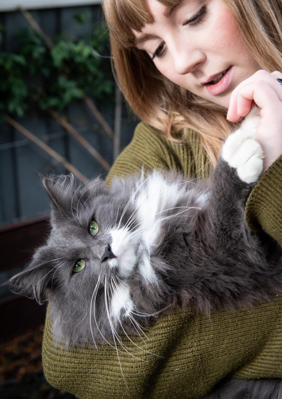 Top 10 Tips For Creating The Purr-fect Relationship With Your Cat