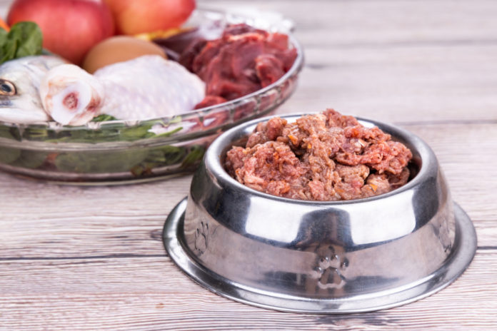 Want to switch your dog or cat to a raw diet?
