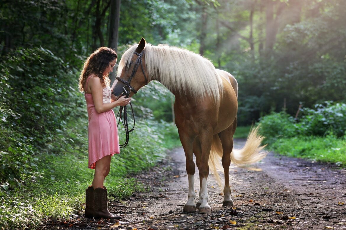 5 Surefire Tips To Get Comfortable With Your New Horse