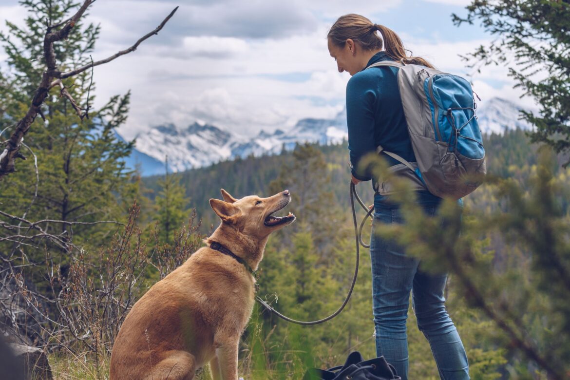 Dog-Friendly Hikes with a Picture-Perfect View