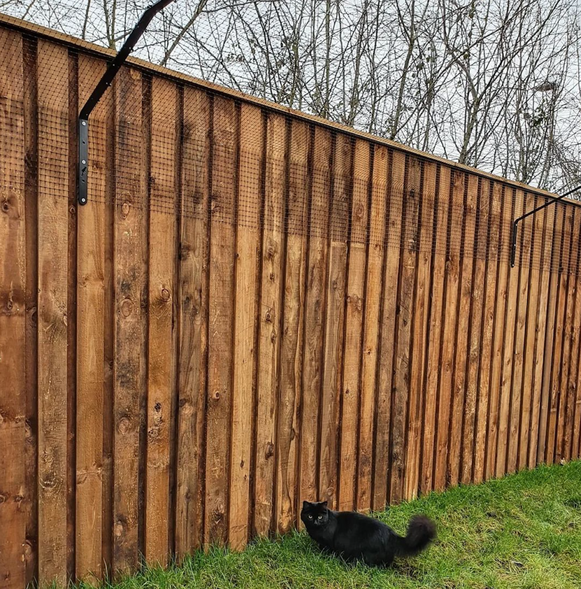 How High Does a Cat Fence Need To Be?