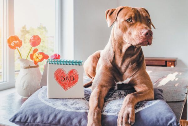 To Dad, From Your Dog — Canine Father’s Day Cards