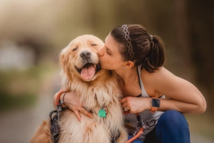 CBD for pet anxiety and behavior