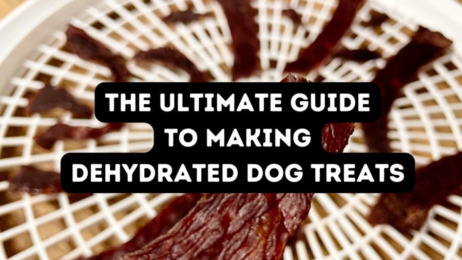 Dehydrated Dog Treats: Your Ultimate Guide to Making Treats and Chews!