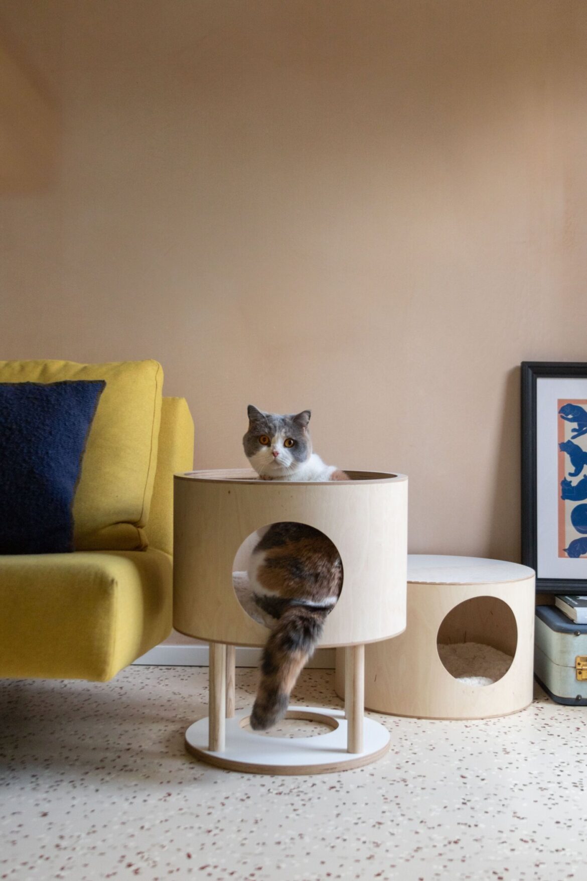 Finally, Furniture You Can Share with Your Cat – Lozi X Cheshire & Wain Round Haus