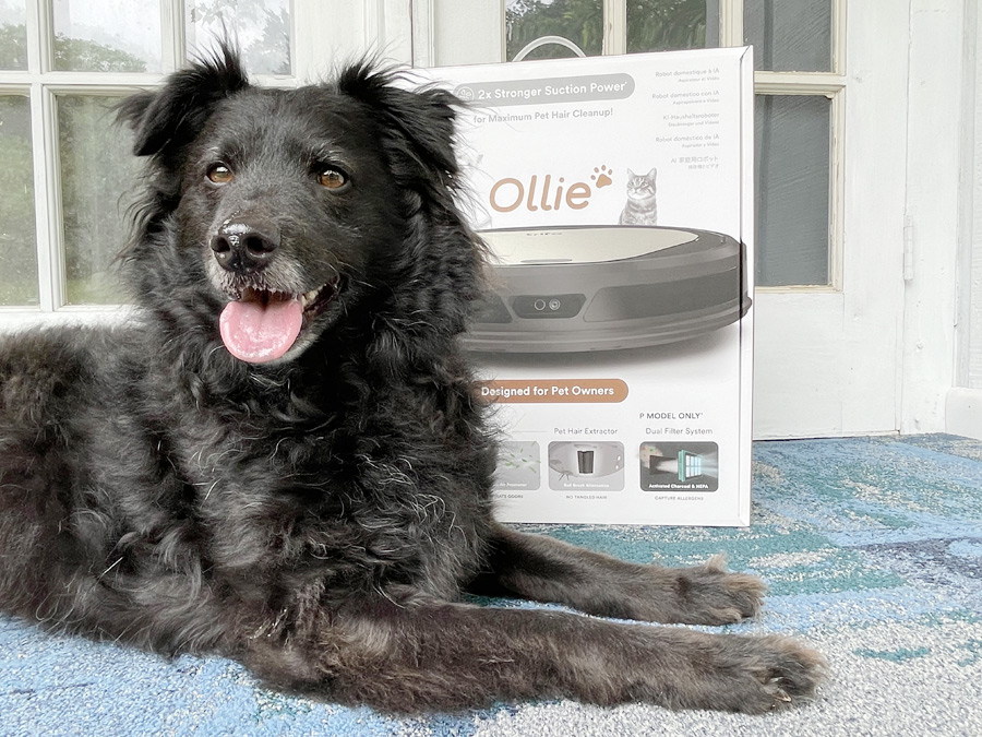 GIVEAWAY: Trifo Ollie Pet AI Smart Robot Vacuum Cleaner (with Pet Camera!)