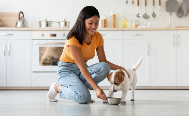 Giving pets supplements: making a frustrating task easy
