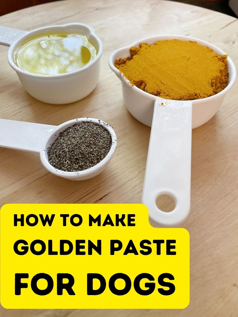 Golden Paste for Dogs: How Easy is It to Make Your Own?