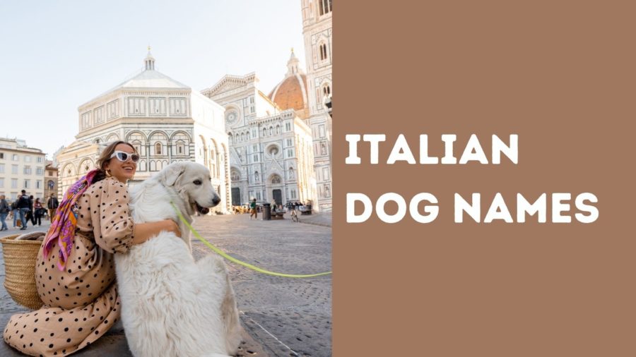 Italian Dog Names – Fantastico Names for Your Fido!