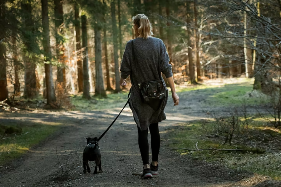 Key findings about our dog walking habits: is he getting enough exercise?