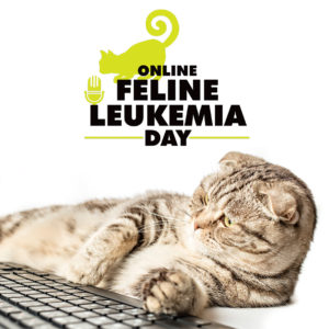 Online Feline Leukemia Day – July 16, 2022