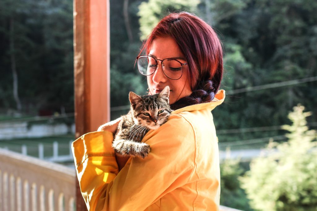 Six Signs You’ve Found The Best Pet Sitter