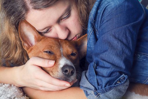 What to Expect When Your Dog Has Cancer
