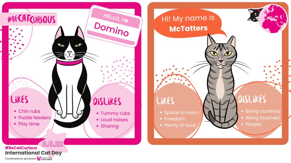 Communicating for cats: iCatCare launches social media campaign for International Cat Day 2022
