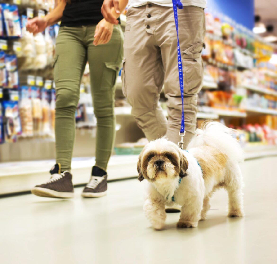 How to Find Dog-Friendly Stores