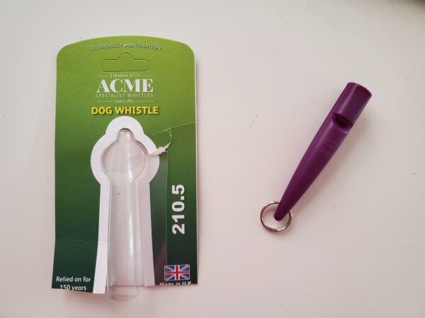 How to Use a Dog Whistle and What to Use a Dog Whistle For
