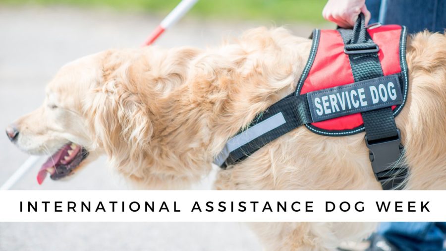 International Assistance Dog Week