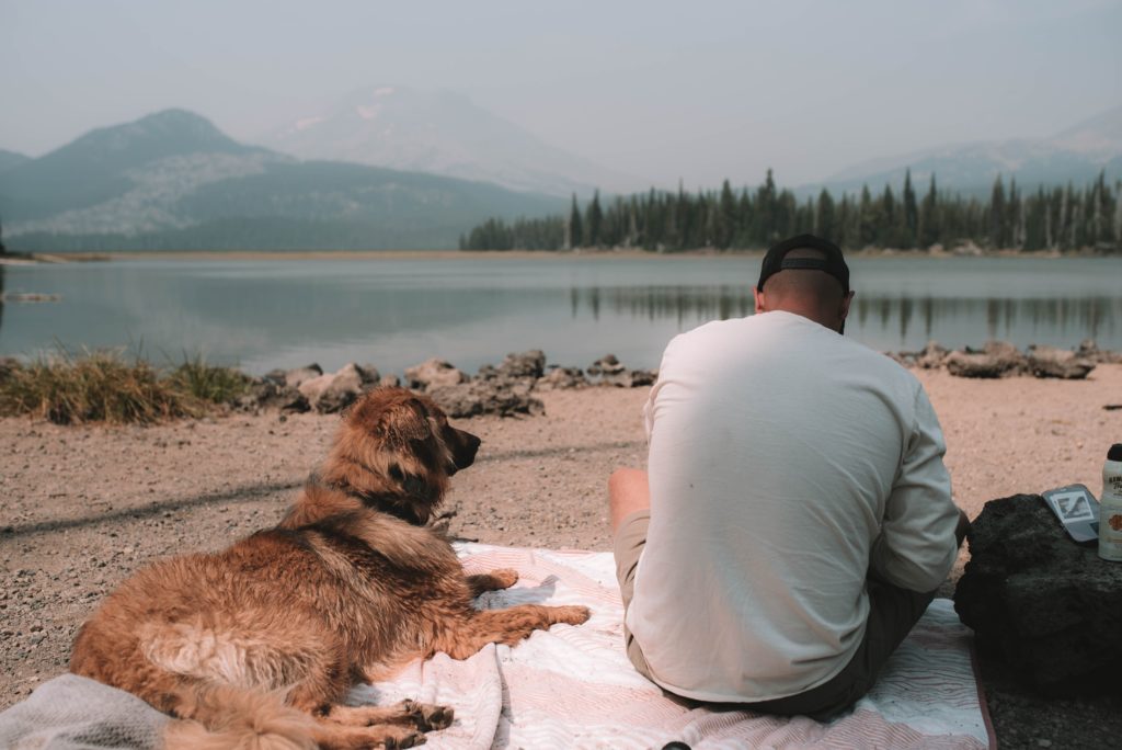 5 Ways to Strengthen Your Relationship with Your Dog