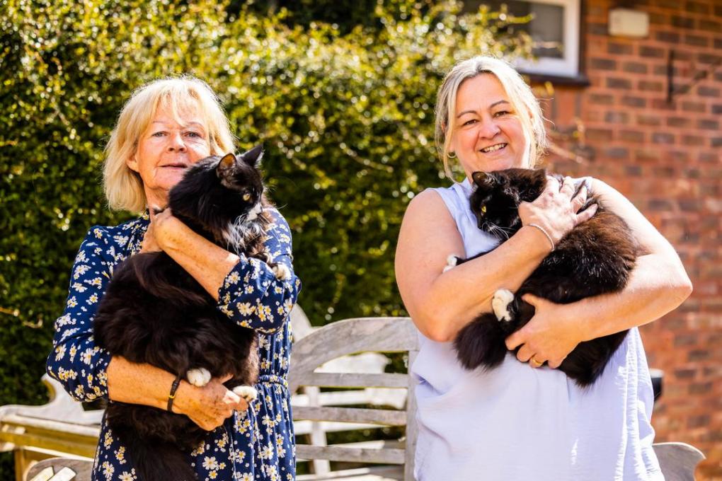 Brother-and-Sister Hospice Cats Named Joint National Cat of the Year 2022