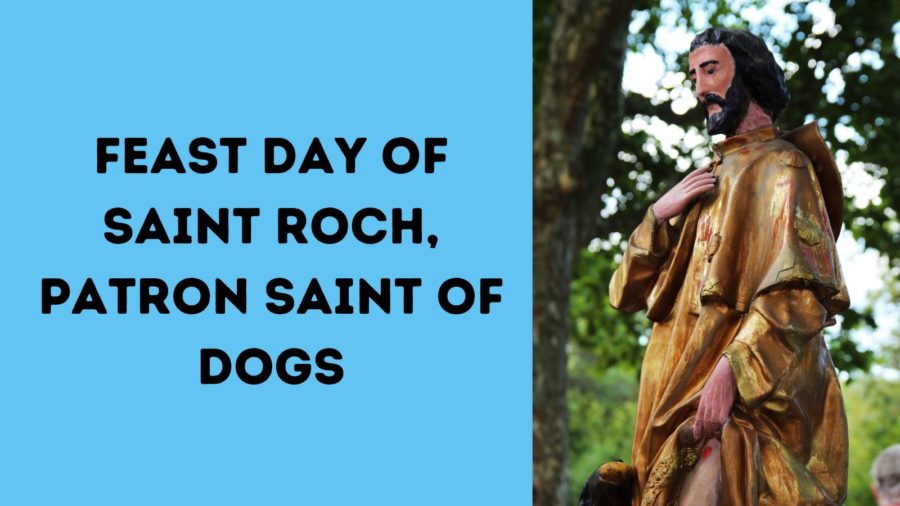 Feast Day of St. Roch, Patron Saint of Dogs