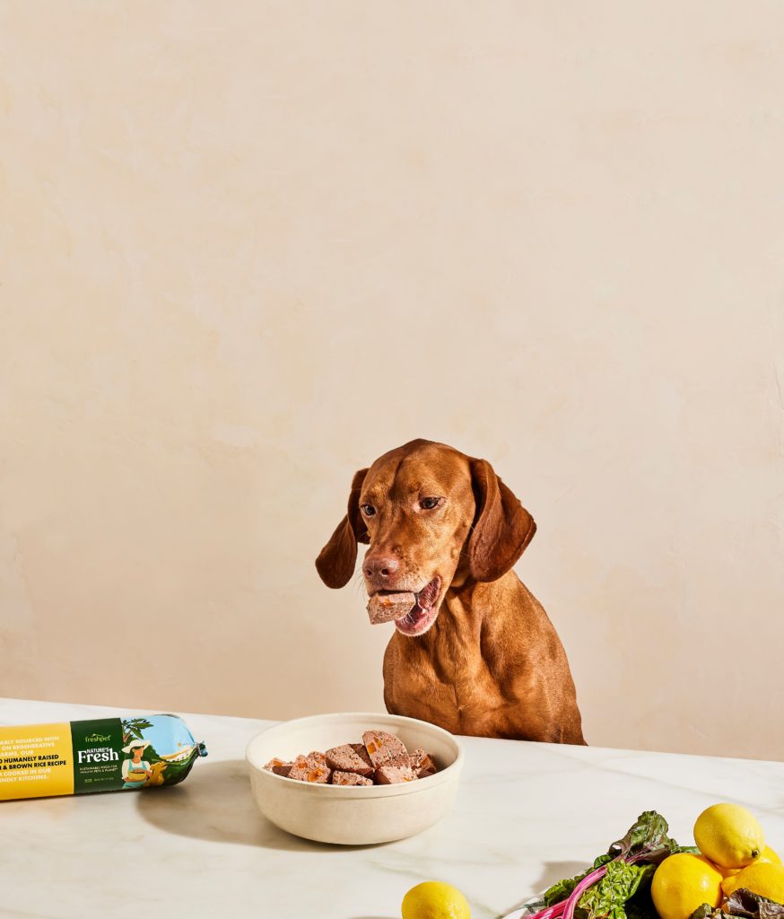 Nature’s Fresh: Sustainable Food for Healthy Pets and Planet
