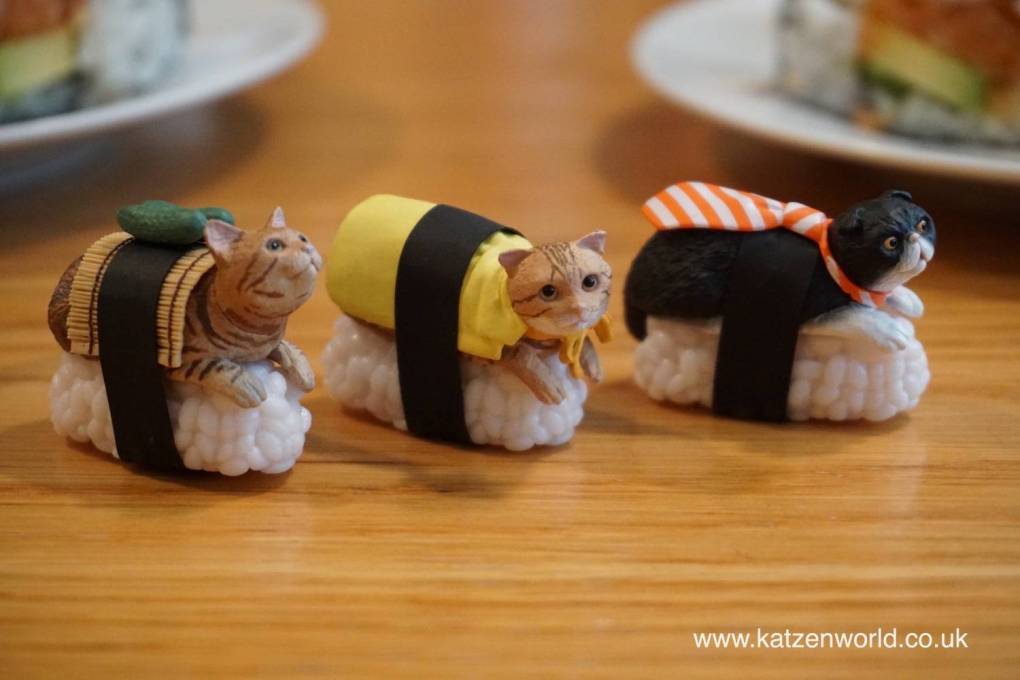 Sushi Cats! You Just Have to Collect Them all!
