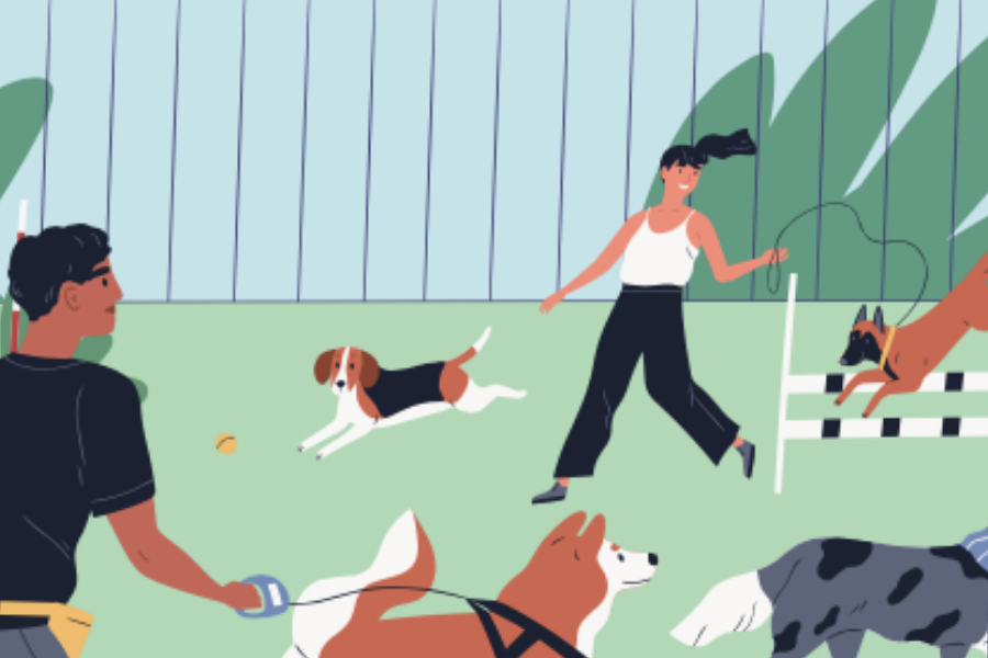 Your hands-on guide for going to the dog park