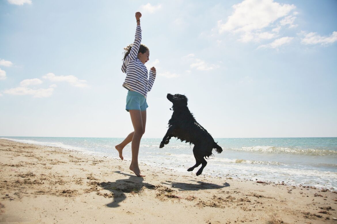 11 Top Dog-Friendly Beaches