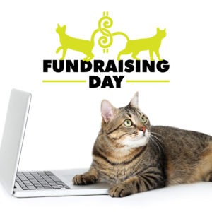 Community Cats Podcast: Online Fundraising Day (October 15, 2022)  & Online Diversity Day (October 16, 2022)