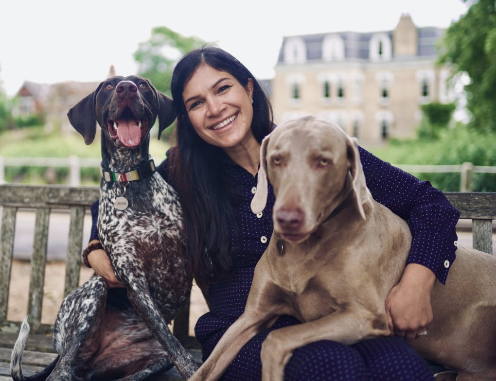 Mayhew Animal Charity announces a new CEO
