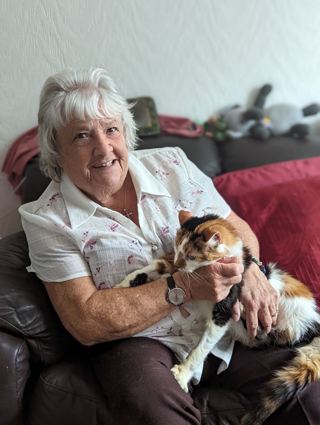 A Purr-fect Reunion: Cat Missing Since 2016 is Reunited With Couple by RSPCA