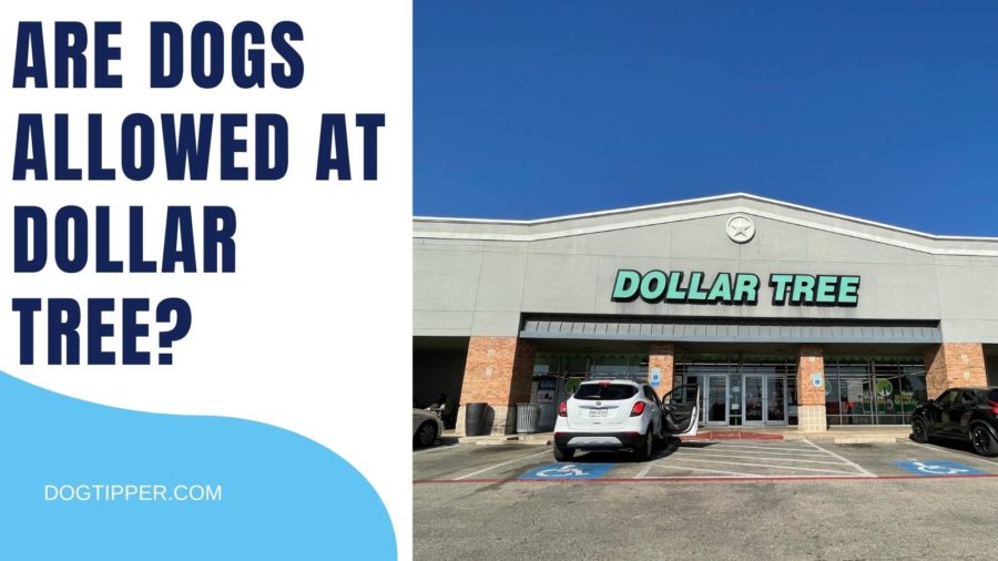 Are Dogs Allowed in Dollar Tree?