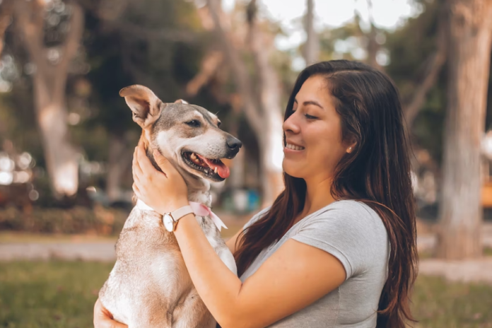 CBD and Canine Anxiety