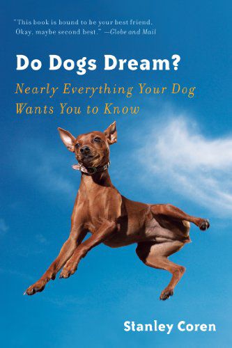 Do Dogs Dream and What You Need to Know About Sleeping Dogs