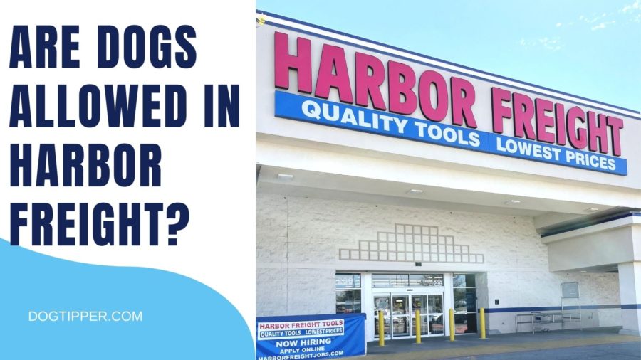 Does Harbor Freight Allow Dogs?