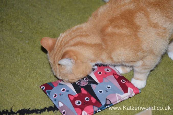 Gingerbread, Gracie, Kizzy & Susy: Fun With Their Gorgeous 4cats Toys