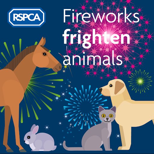 Prepare Animals now! RSPCA Poll Finds Most Animals Show Firework Distress