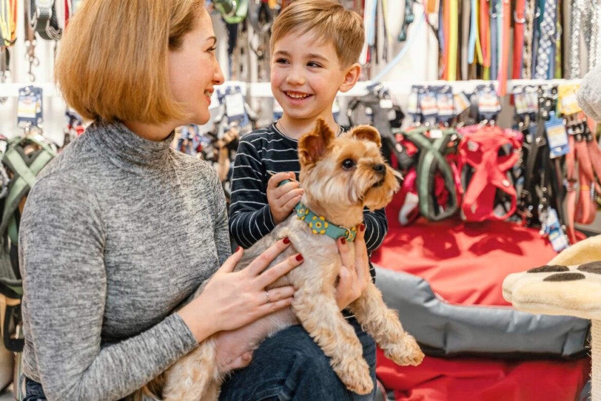 Reasons To Choose A Veterinary Marketplace To Buy Pet Products