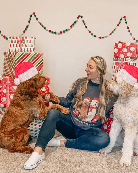 The Best Ugly (but Cute) Dog Christmas Sweaters