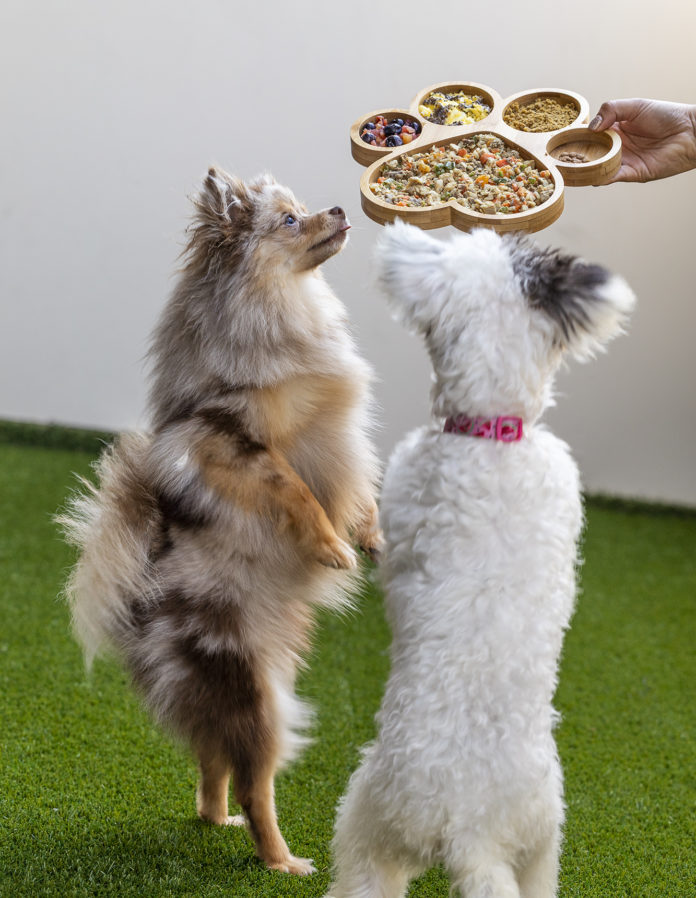 Top 3 Reasons to Try Gluten-Free Dog Food