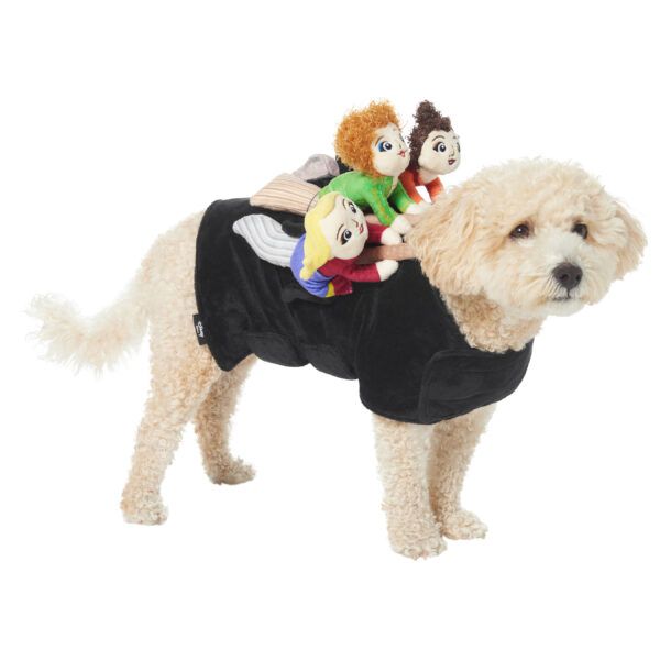 Top Halloween Costumes for Dogs in 2022