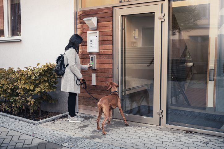 What Is a Dog-Friendly Apartment?