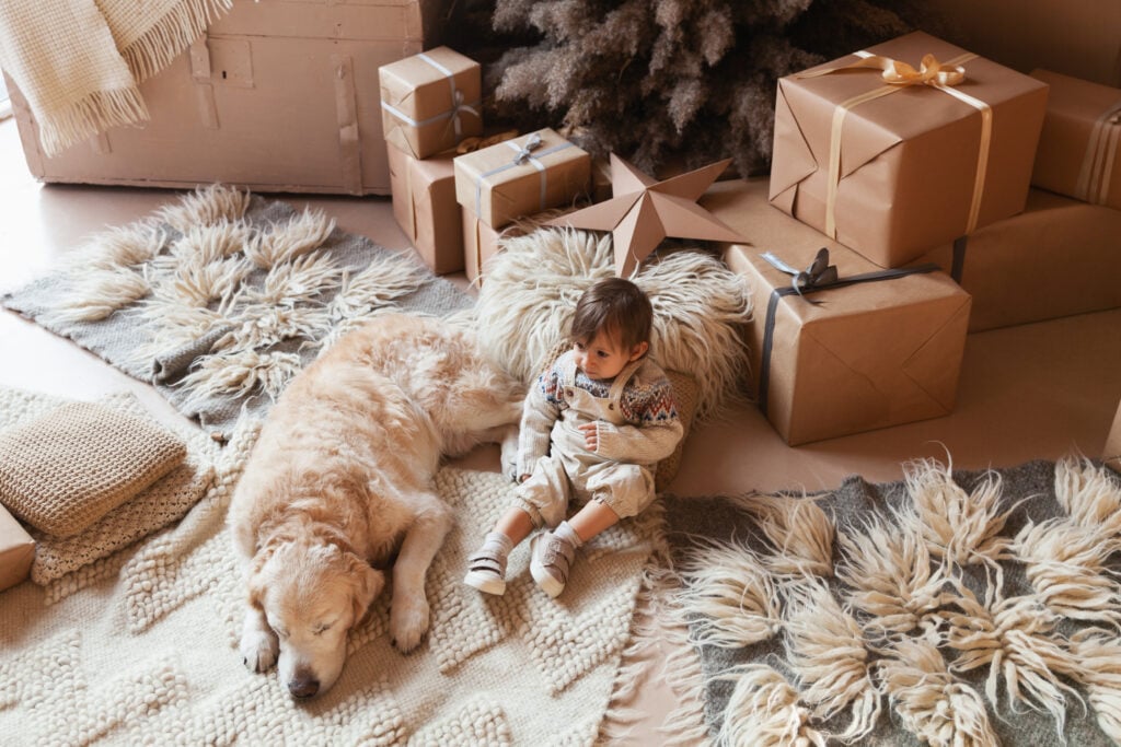 2022’s Ultimate Holiday Gift Guide for Pets