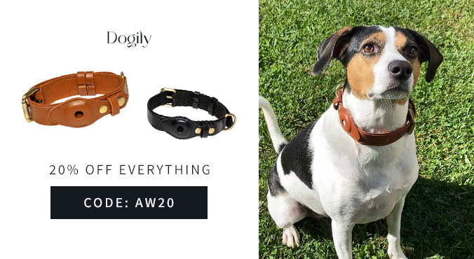 A Fashionable Way to Find a Missing Four-Legged Friend