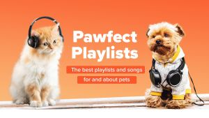 Animal Expert Reveals Ultimate Playlist for Your Pets: From Cat and Dog Songs to Bird Songs