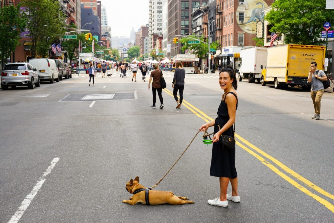 How Dog Walking Services Can Help with Common Dog Walking Behavior Problems