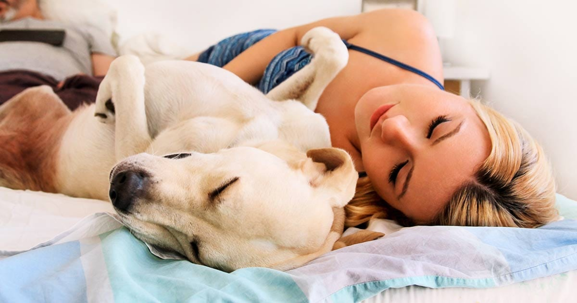 How To Help Your Pet Get Better Rest