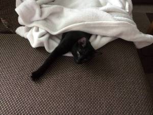 Nubia: So cold…. must find a warm spot!