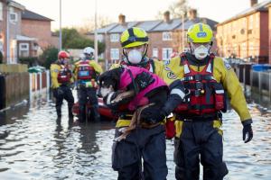 RSPCA Flood Response Team on Standby as Water Rises in Southern England