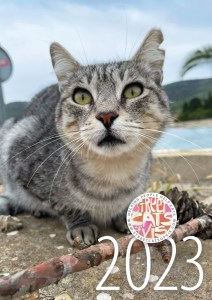 Street Cats of Vis 2023 Calendar